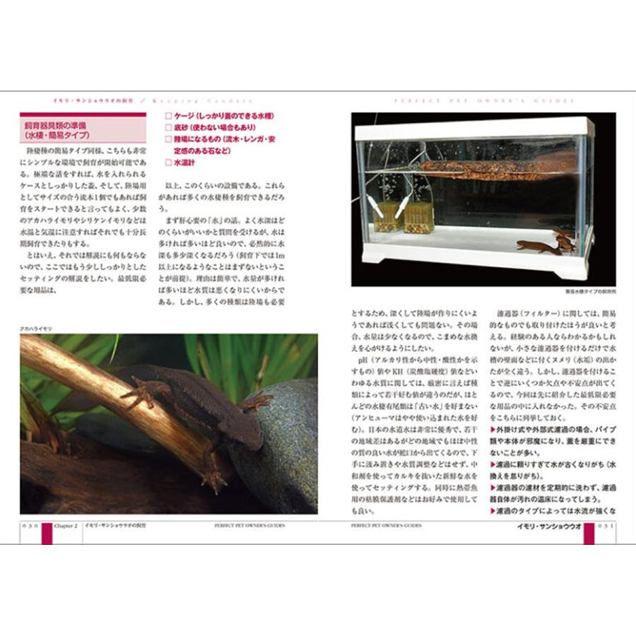 メール便可 ] イモリ ・ サンショウウオ 完全飼育 誠文堂新光社 書籍