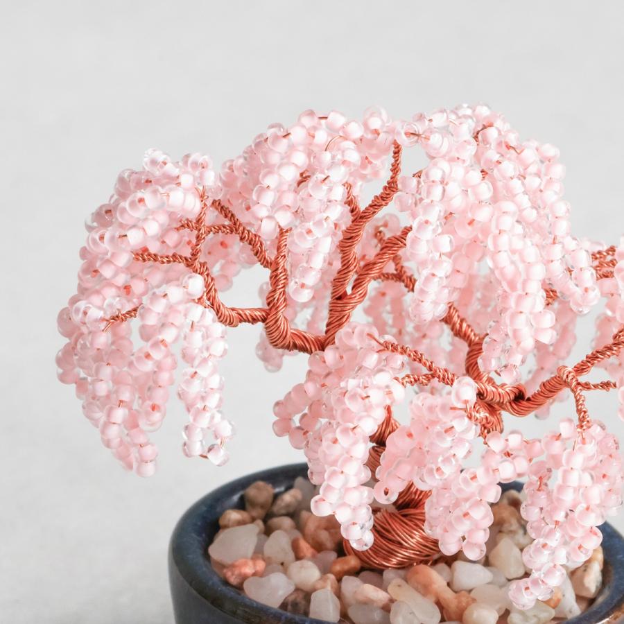 MIYUKI ネジッテBONSAIキット 枝垂桜 Weeping cherry blossoms HCA30-9