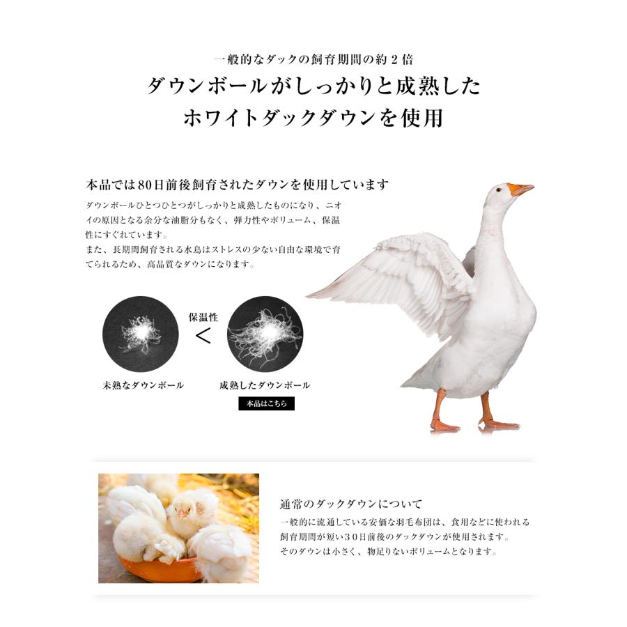 羽毛布団 シングル 掛け布団 2枚合せ 超長綿100% 60サテン ホワイト