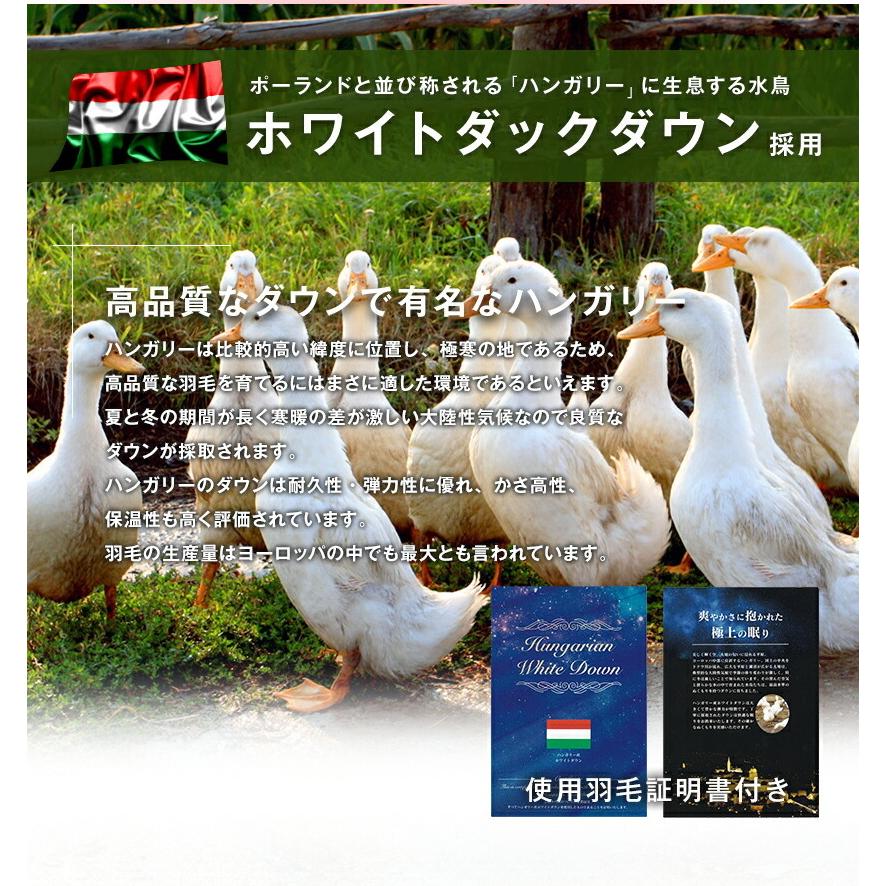 ハンガリー産ホワイトダックダウン　羽毛布団　ブルー系 楽天市場】【安心♪ロイヤルゴールドラベル付き】7年保証 羽毛