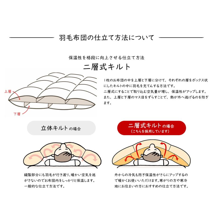 羽毛布団 羽毛ふとん 掛け布団 シングル シルク触感 二層式 フランス産 