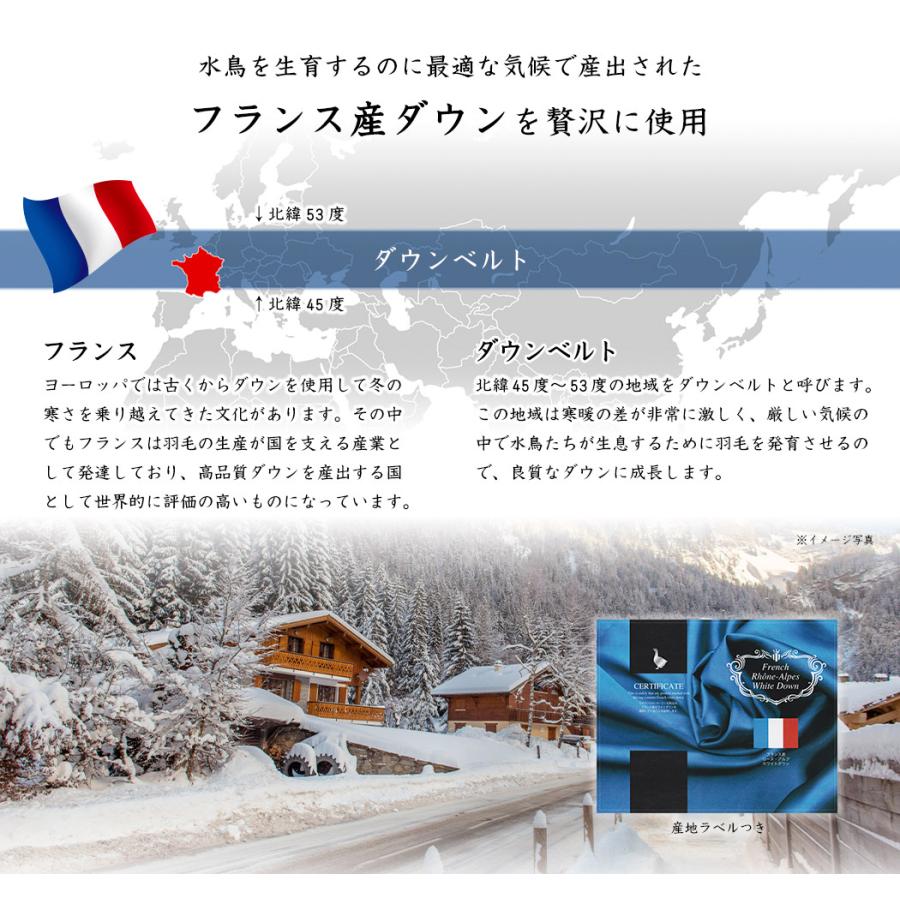 高級羽毛布団 ダブル フランス産ホワイトダックダウン 93 高級羽毛布団 ダブル フランス産ホワイトダックダウン 93