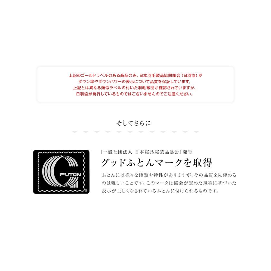 洗濯可能】羽毛布団 ダブル 羽毛ふとん ダウンケット 肌掛け 肌ふとん