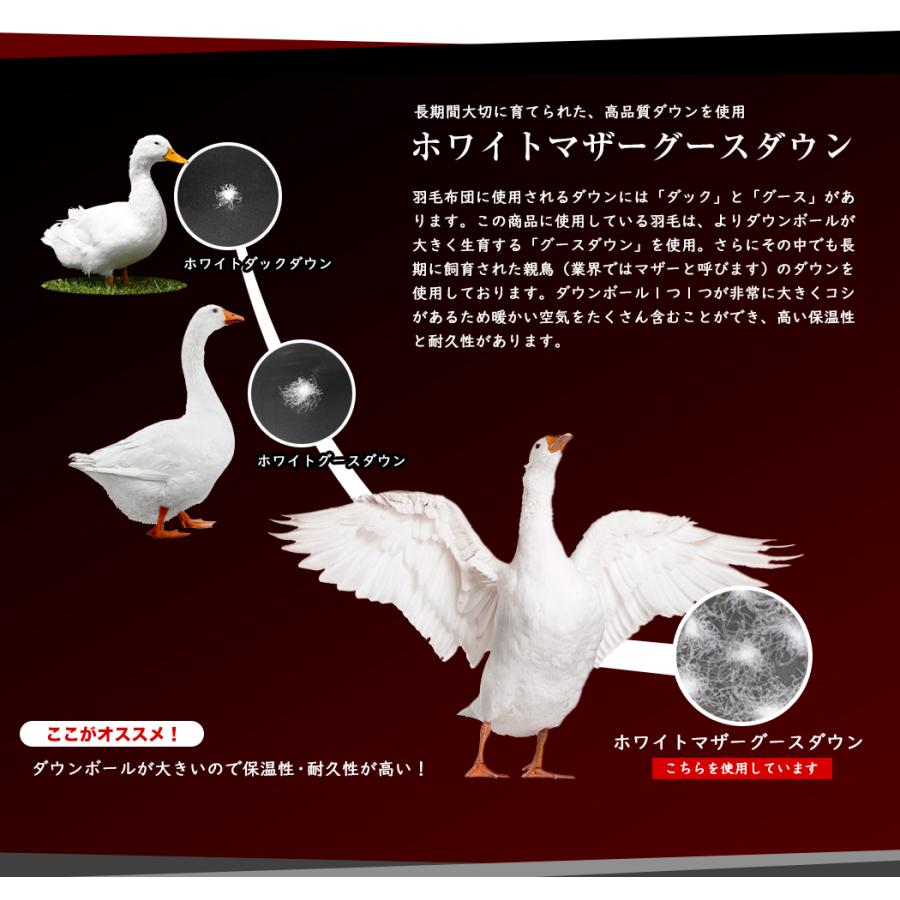 羽毛布団 シングル 羽毛ふとん 掛け布団 二層式 最高級 羽毛布団 シングル 羽毛ふとん 掛け布団 二層式 最高級