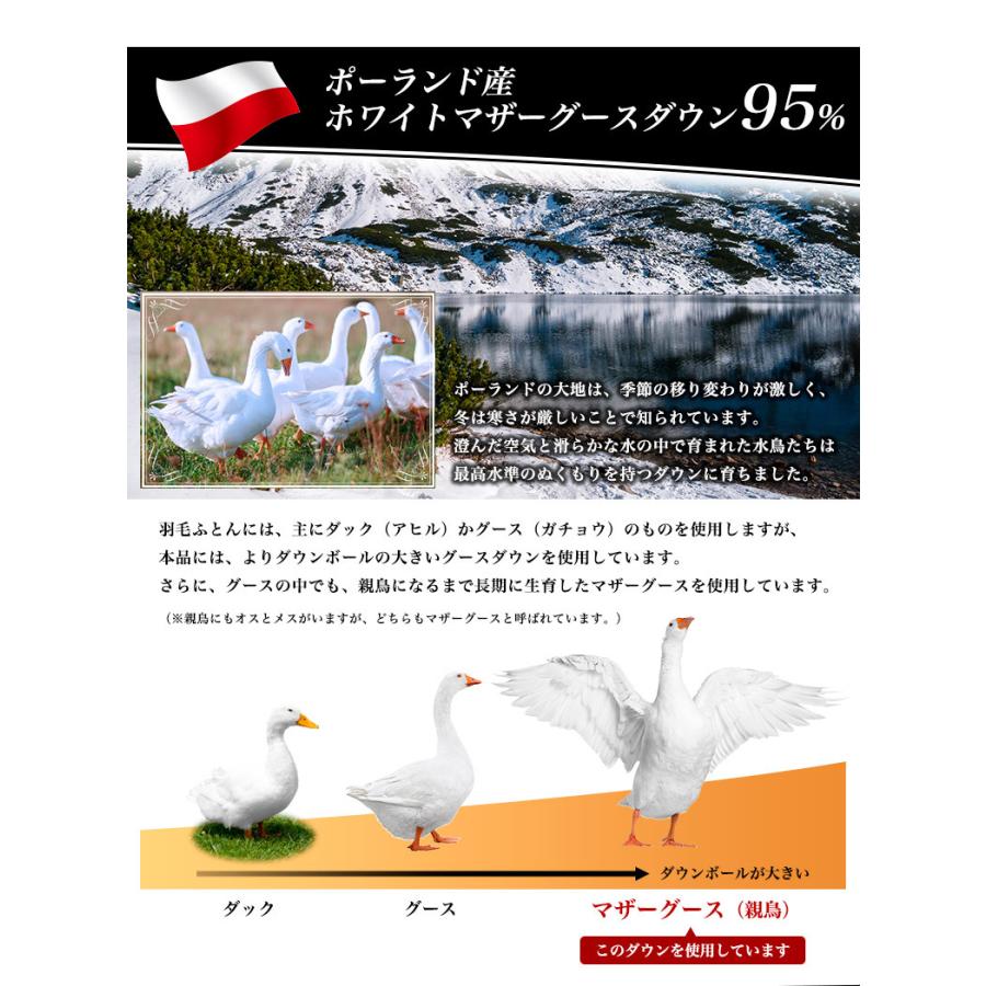 羽毛布団 ダブル プレミアムゴールド 高級羽毛布団 光触媒: オール 