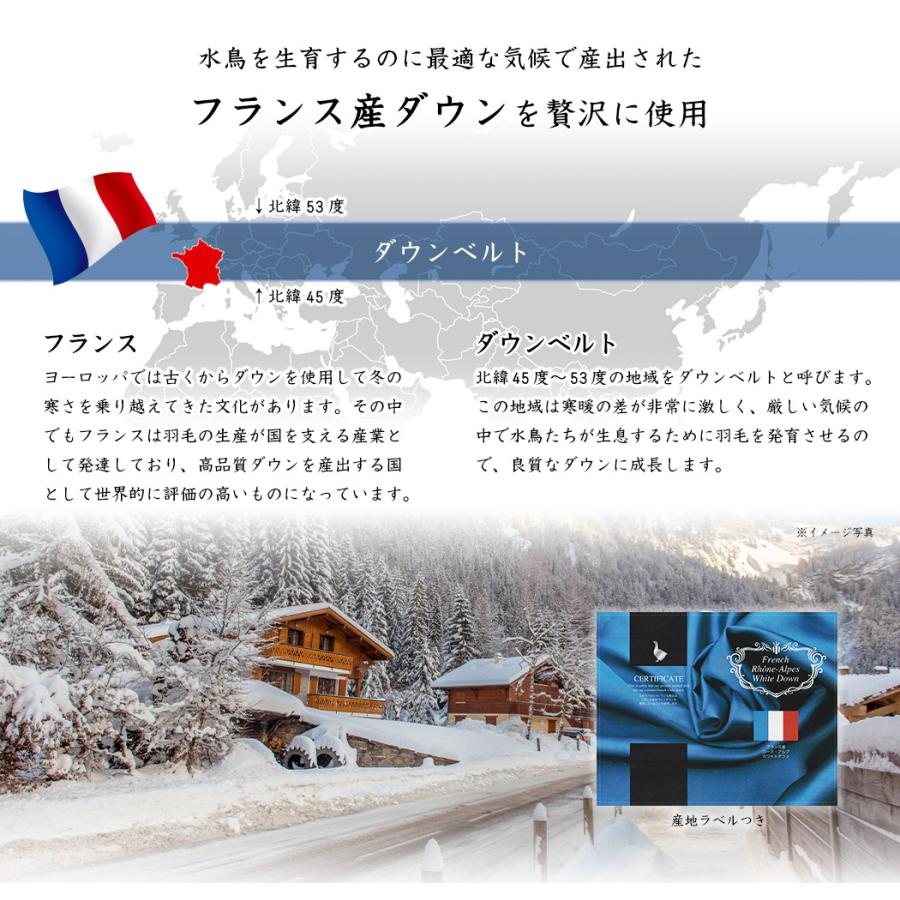 羽毛布団 羽毛ふとん 掛け布団 セミダブル ダウンケット 肌掛け布団 ロイヤルゴールド 新彊綿：薄掛けタイプ 羽毛量 0.5kg_3
