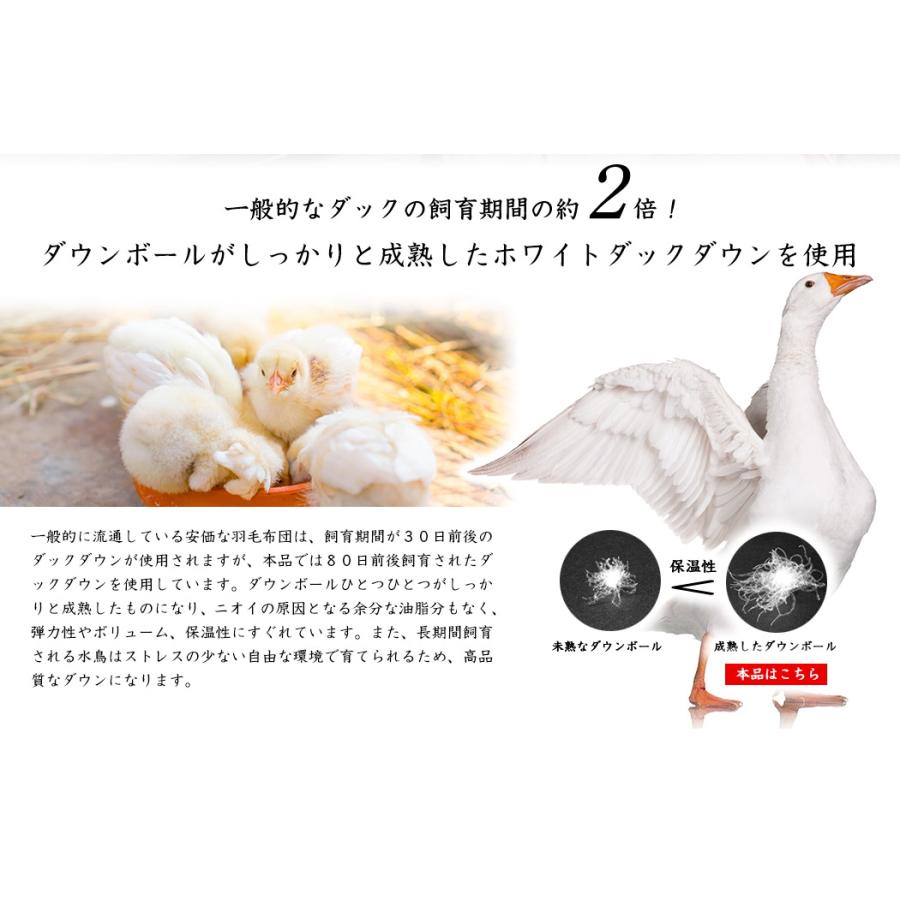 羽毛布団 羽毛ふとん 掛け布団 セミダブル ダウンケット 肌掛け布団 ロイヤルゴールド 新彊綿：薄掛けタイプ 羽毛量 0.5kg_4