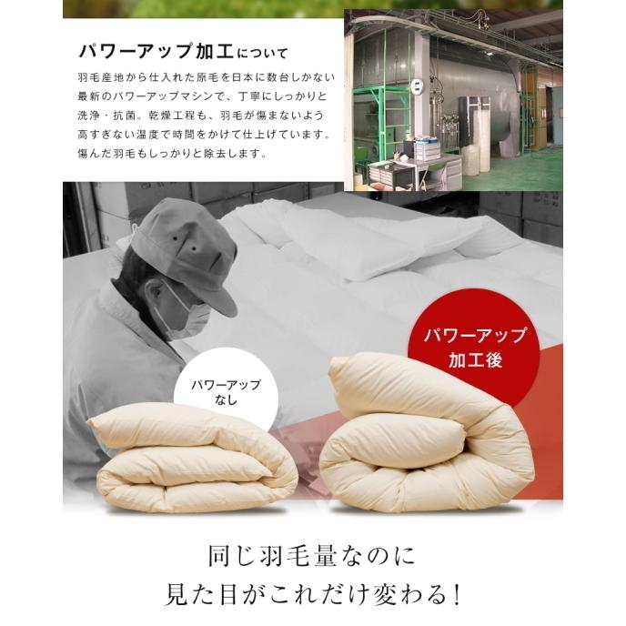 羽毛布団 羽毛ふとん 掛け布団 ダブル ロイヤルゴールド ハンガリー産