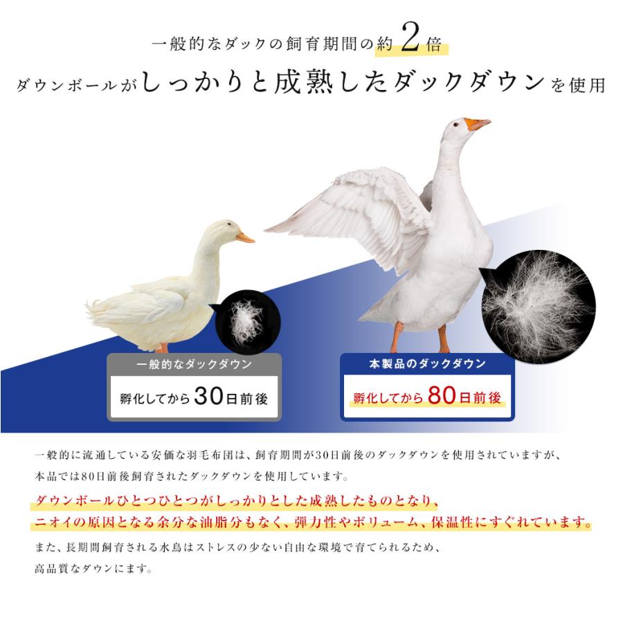 昭和西川 羽毛布団 シングル 掛け布団 羽毛ふとん冬布団 羽毛 冬 羽毛