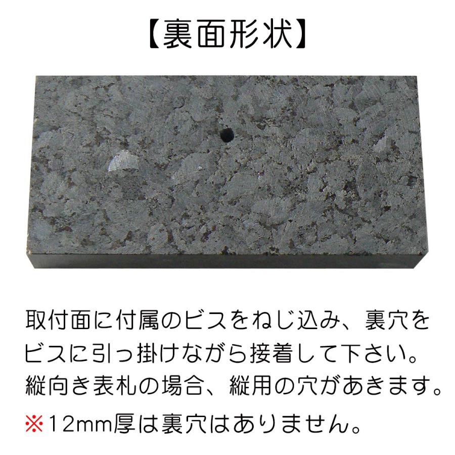 表札 天然石表札 戸建て おしゃれ 御影石 石材 サイズ2種（180×90mm