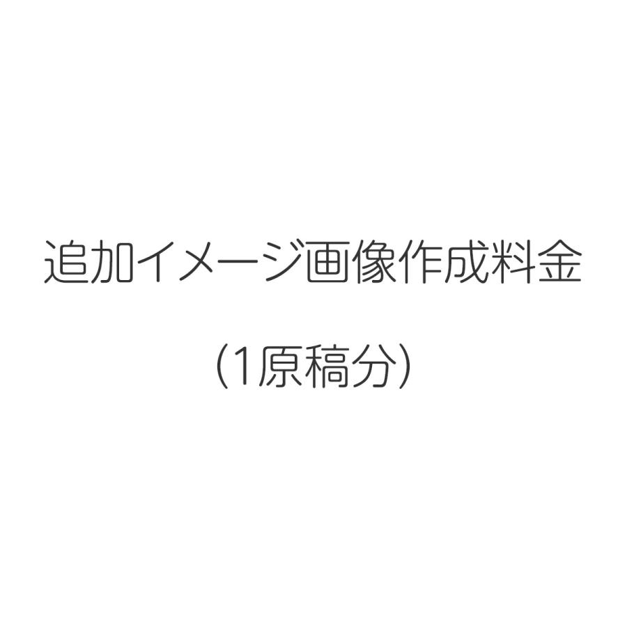 追加イメージ原稿（１原稿分） | 