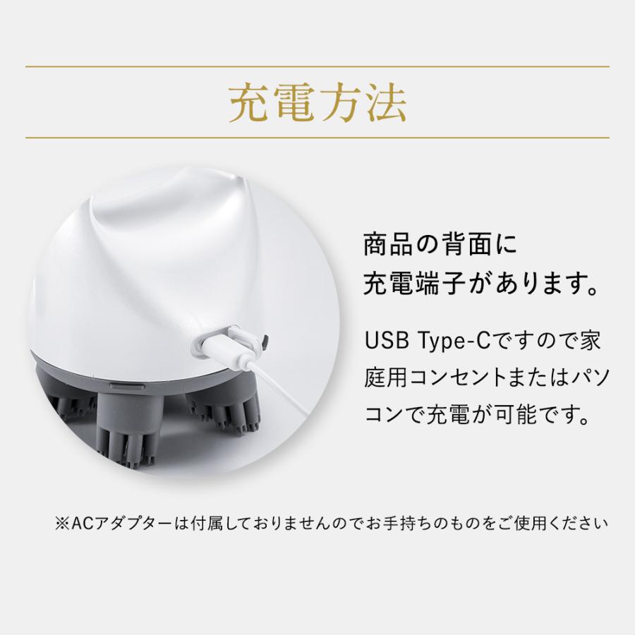 アートネイチャー LH スカルプヘッドスパ プラス 頭皮ブラシ 美容 家電