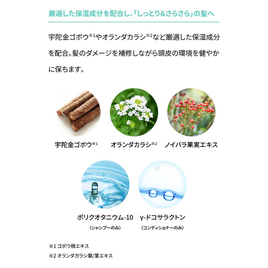 クールシャンプー シャンプー スカルプシャンプー メンズ 男性 冷感