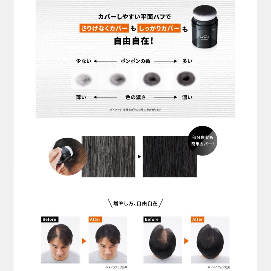 アートネイチャー 薄毛隠し 白髪隠し ボリュームアップ 増毛パウダー アートミクロン パウダー＆フィニッシュスプレーセット 男性用 メンズ 爆買の画像
