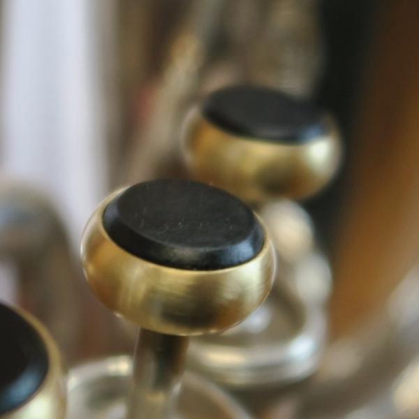 ユーホニューム用 木製ピストンボタン EY型 Aブラック材 : ART工房Nob