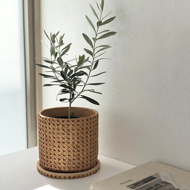 かごめ網模様 セメント 鉢カバー 5号用 直径18cm 受皿セット プランター Art Of Black Gardening Art Of Black 通販 Yahoo ショッピング