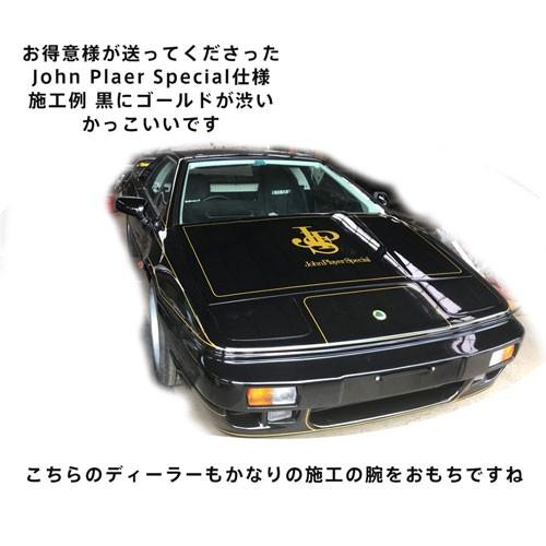 オーダーラインテープ 幅21mm 30mm 巻きの長さ10m 車 バイク 船 Rt12 アートパーティ 通販 Yahoo ショッピング