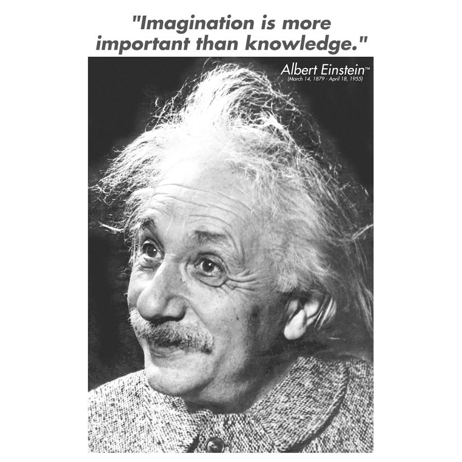 【出荷区分D】アインシュタインポスター Einstein - Imagination｜artposters