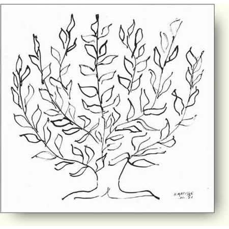 出荷区分D】アンリ・マティス プラタナス, 1951年 【アートポスター