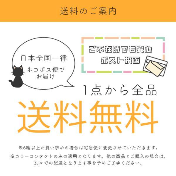 EVER COLOR 1month エバーカラーマンスリー 新木優子 カラコン 1ヶ月 マンスリー 2枚 14.5mm カラーコンタクト フチあり 新色 度あり 度なし｜artrash｜15