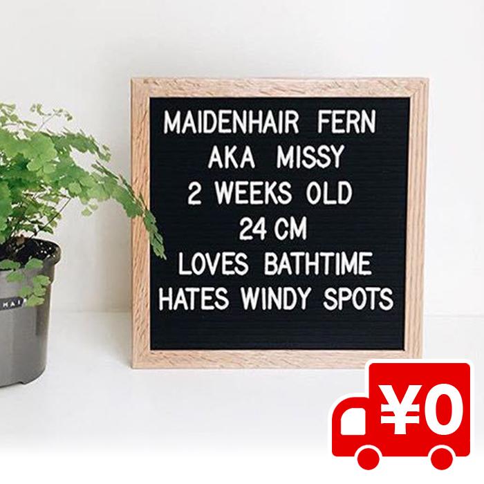 レターボード 460文字 パーツ付き 掲示板 メニュー メッセージ ボード アルファベット 英語 数字 記号 飾り付け 看板 25 25cm ウィッグ エクステ Arts Wig 通販 Yahoo ショッピング