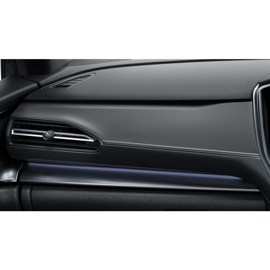 SUBARU（スバル） 【レイバック・VN5】Black Selection用