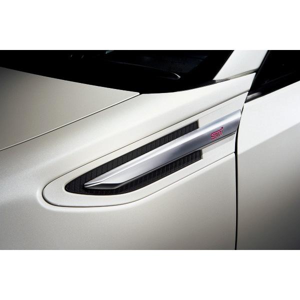 SUBARU（スバル） 【BRZ・ZC】ts用 フェンダーガーニッシュ