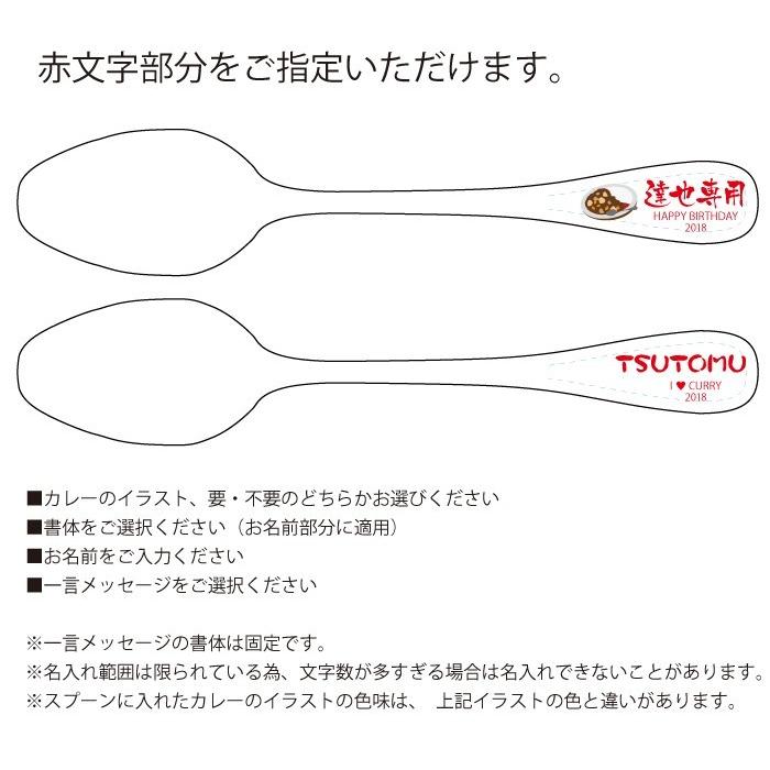 ギフト プレゼント 名入れ カトラリー 2本×2食 名入れ カレースプーン ＆ 海軍カレー ペア セット よこすか海軍カレー 誕生日 結婚 爆買 | ブランド登録なし | 15
