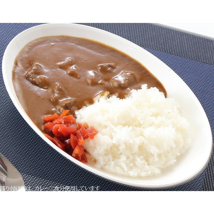 ギフト プレゼント 名入れ よこすか海軍カレー 調味商事 ネイビーブルー レトルトカレー 中辛 180g×1食入 5食 爆買 | ブランド登録なし | 02
