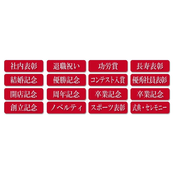 記念品 ギフト プレゼント F K339-3 クリスタルペーパーウエイト 企業表彰 社内表彰 スポーツ表彰 周年記念 勤続 退職記念 爆買 | ブランド登録なし | 10