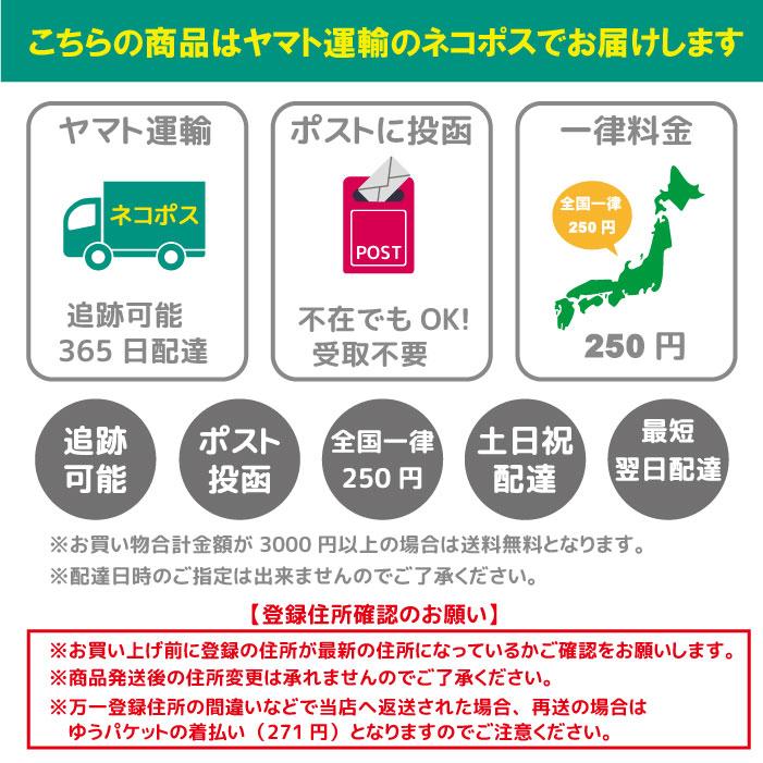 犬 ステッカー フラットコーテッド レトリバー シルエット 名前 名入れ シンプル 車 ステッカー ドッグインカー Mサイズ｜artus-design｜13