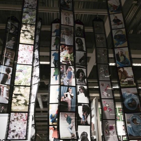 イケア（IKEA） フォトフレーム/写真フレーム/写真フォトフレーム