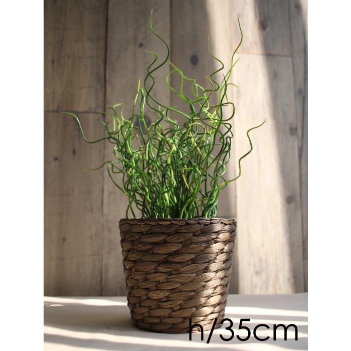 イケア（IKEA） イケア/IKEA FEJKA 人工観葉植物 ラセンイのインテリア