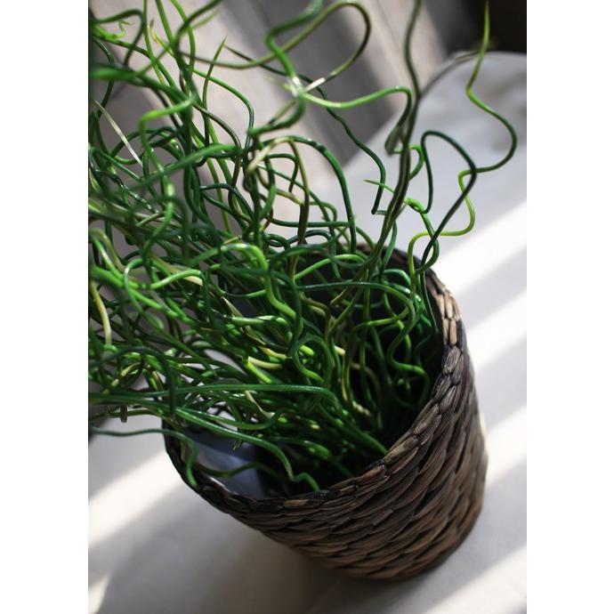 イケア（IKEA） イケア/IKEA FEJKA 人工観葉植物 ラセンイのインテリア