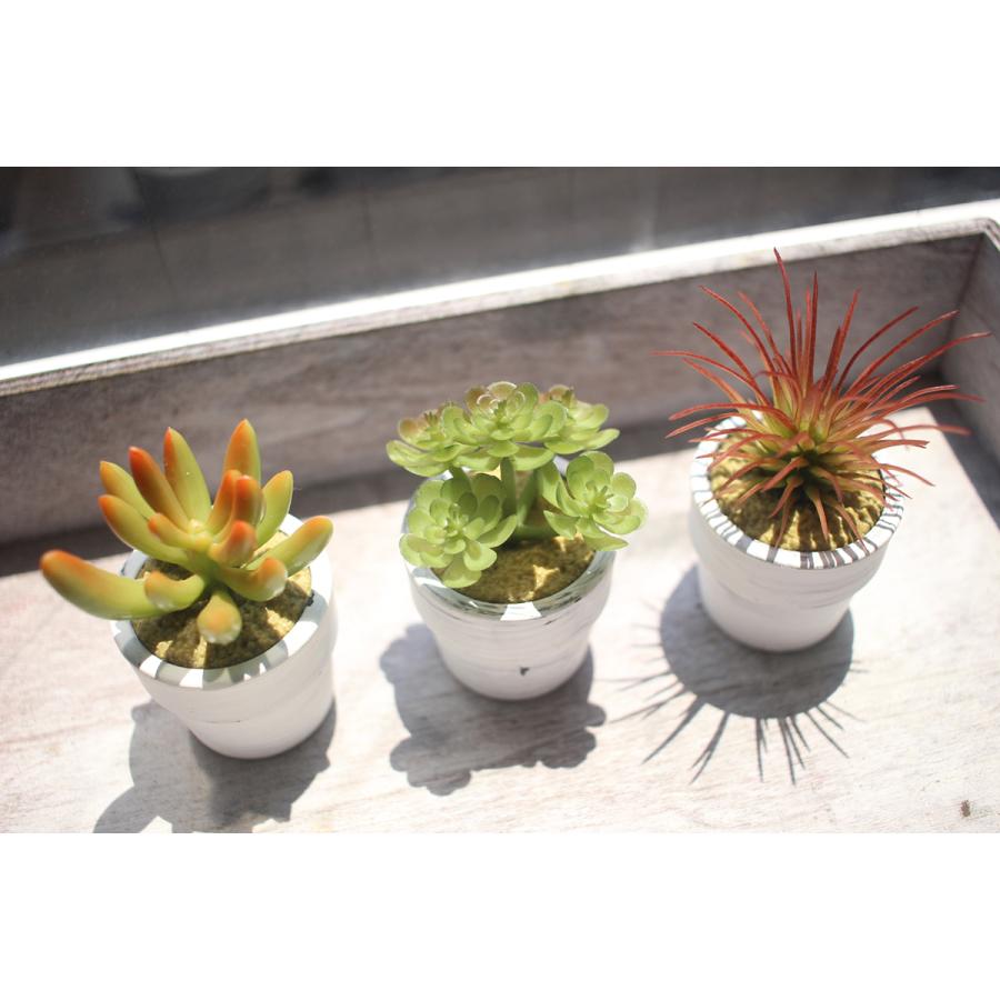 IKEA イケア 人工観葉植物 造花 ミニ多肉植物3種セット IKK フェイク