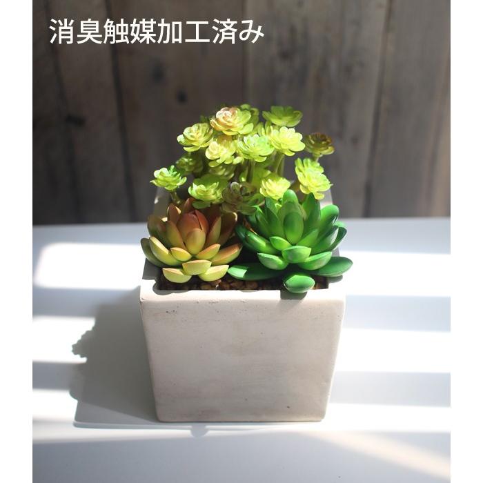 人工観葉植物 造花 インテリアアート 多肉植物のアレンジポット 光触媒