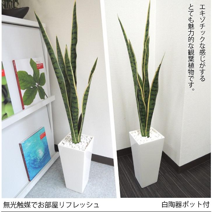 フェイクグリーン オリジナルデザインのサンセベリア 96cm サンスベリア 消臭 除菌 光触媒を超える効果のct触媒 無光触媒 加工済み Awms 1026 デコレーションファクトリー 通販 Yahoo ショッピング