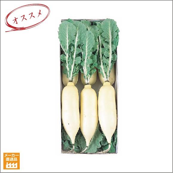 ダイコン 6本パック 大根 /フェイクフード(食品サンプル)店舗装飾