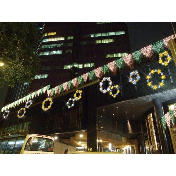 LEDクリスタルグロー スターリング（小) プロ施工用イルミネーションライト/LEDモチーフライト 送料無料_1