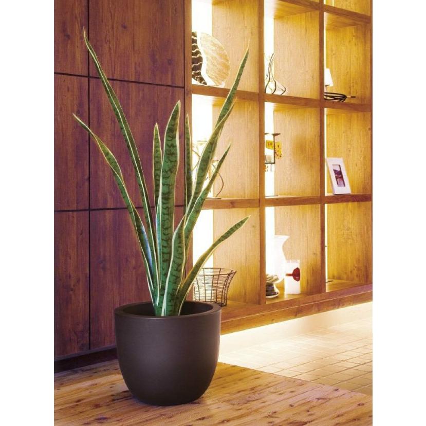 人工観葉植物 造花/105cmサンセベリア サンスベリア （別途料金で、無光触媒/CT触媒加工可）の画像