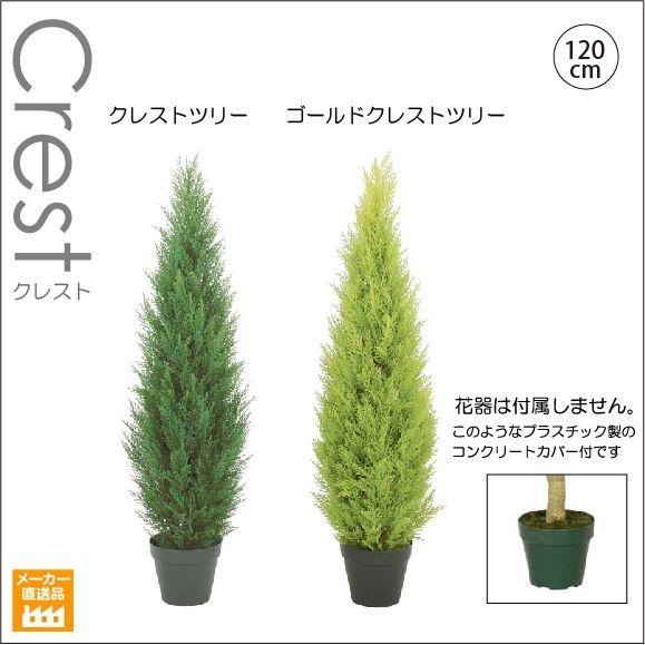 人工観葉植物 1ｃｍクレストツリー ゴールドクレストツリー インテリアグリーン 造花 別途料金で 無光触媒 Ct触媒加工可 Ylet 54 デコレーションファクトリー 通販 Yahoo ショッピング