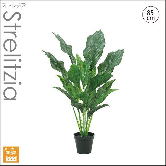 大型 人工観葉植物 消臭 人工観葉植物 85cmストレチアリーフツリー / （別途料金で、無光触媒 CT触媒加工可）
