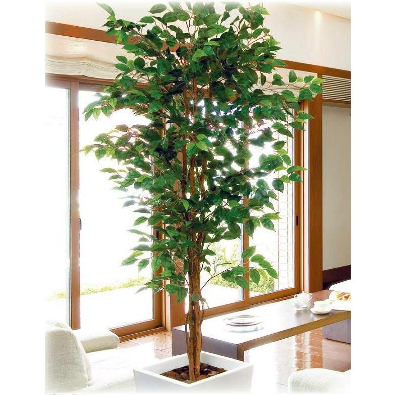 人工観葉植物/180cmナチュラルフィカスツリー/インテリア 人工観葉植物/180cmナチュラルフィカスツリー/インテリア