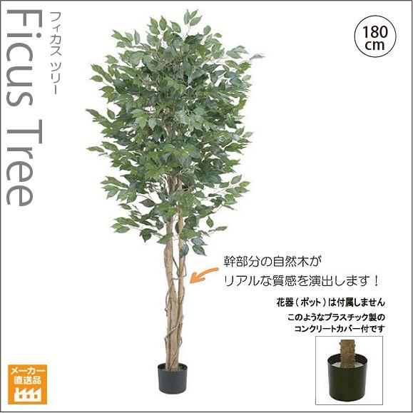 人工観葉植物/180cmナチュラルフィカスツリー/インテリア 人工観葉植物/180cmナチュラルフィカスツリー/インテリア