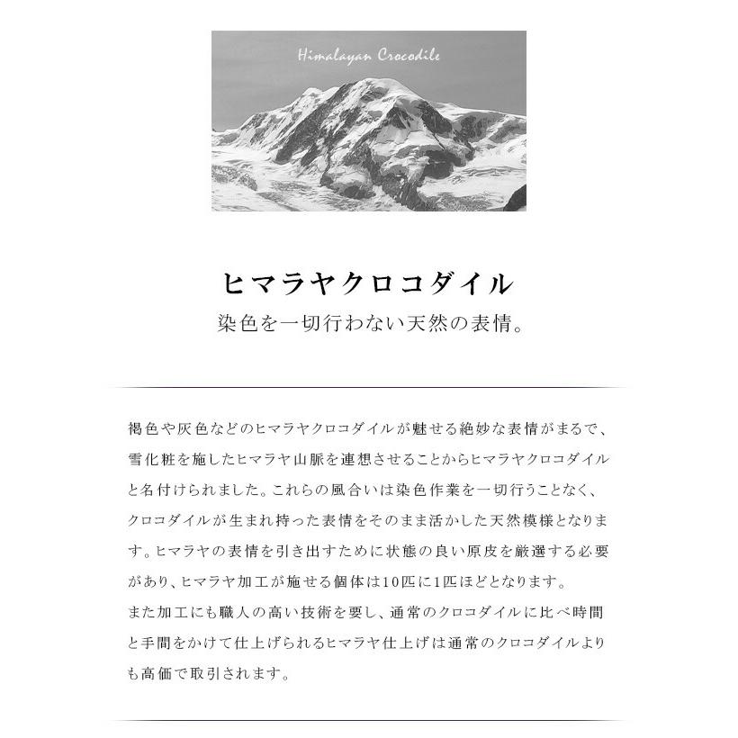 ヒマラヤクロコダイル ハンドバッグ 2way ミニ 小さめ バッグ 本革 ワニ革 ヒマラヤ クロコ 白 ホワイト ショルダーバッグ 肩掛け レディース アルバ hcb481の画像
