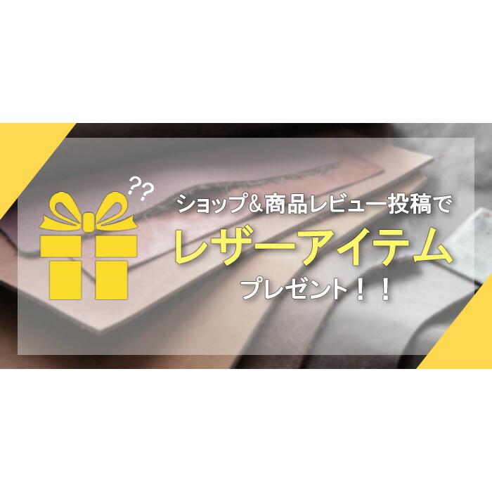 本革 ショルダーバッグ ウエストバッグ 2WAY 斜め掛け 斜めがけ レザーバッグ 革 レザー 牛革 アルバ WILDHEARTS ワイルドハーツ sb1244r60_13