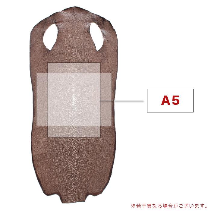 革販売 スティングレイ ポリッシュブラウン 茶色 8インチ