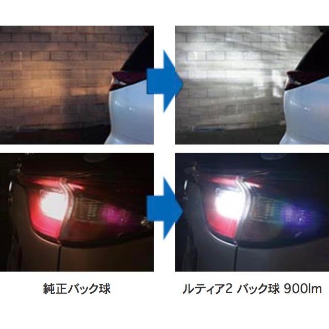 CATZ　キャズ　T16バック球専用LED　ALL1900B　2個入り　6000K　900ルーメン　在庫有り |  | 01