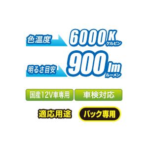 CATZ　キャズ　T16バック球専用LED　ALL1900B　2個入り　6000K　900ルーメン　在庫有り |  | 02