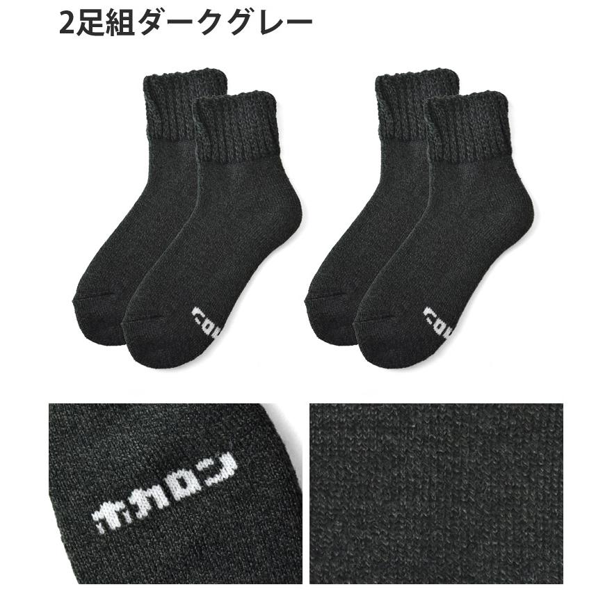 ホカロン レディース ソックス 靴下 冬 厚手 冷え対策 裏起毛 履く